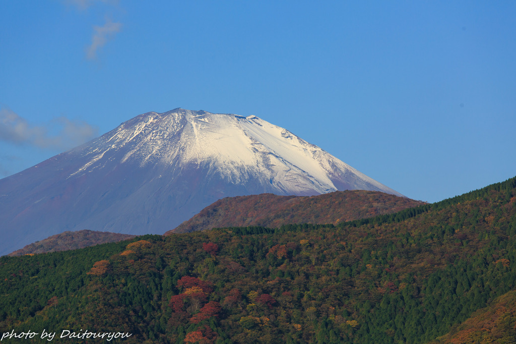 Autumnな時・・・