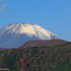 Autumnな時・・・
