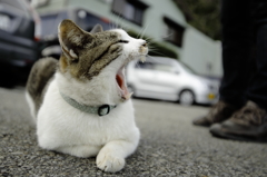 おりゃ～