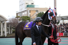 東京大賞典