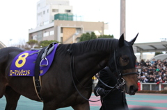 東京大賞典