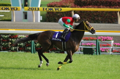マイネイサベル