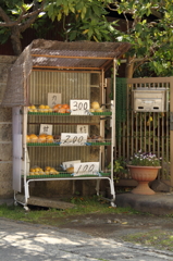田舎特有のアレ