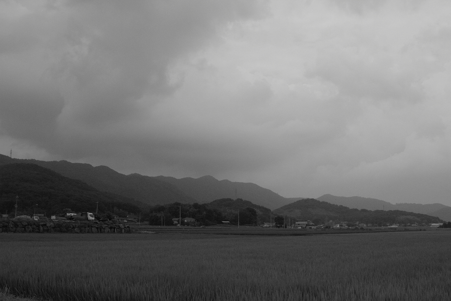 野山