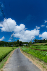田舎