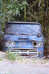 廃