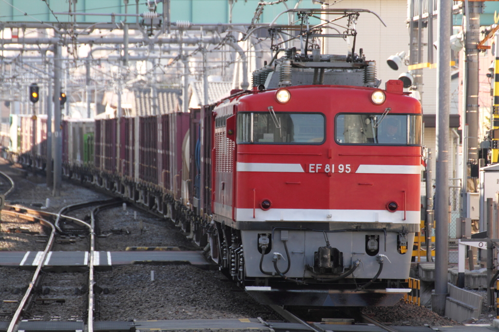 EF81-95