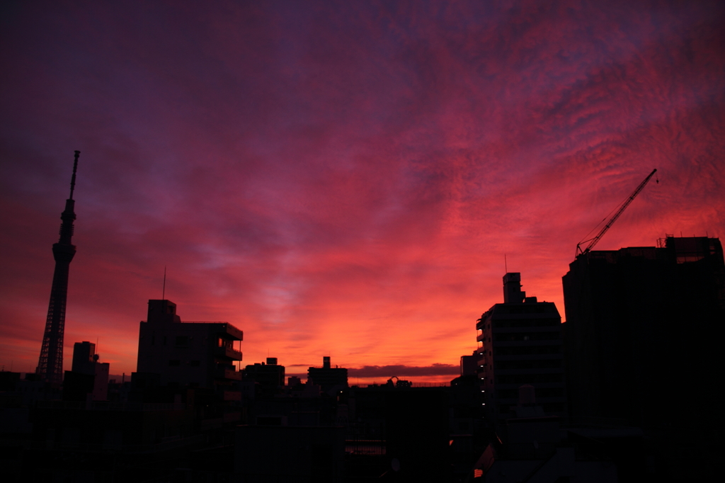 朝焼け