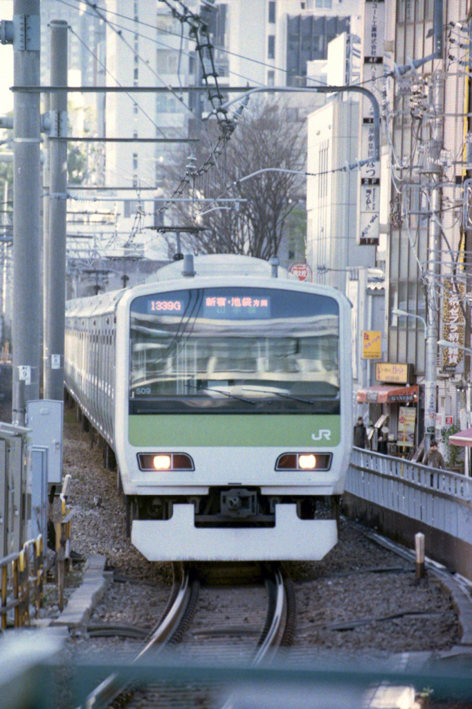 緑のアイツ