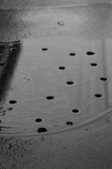 雨