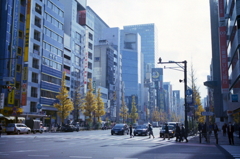 akiba