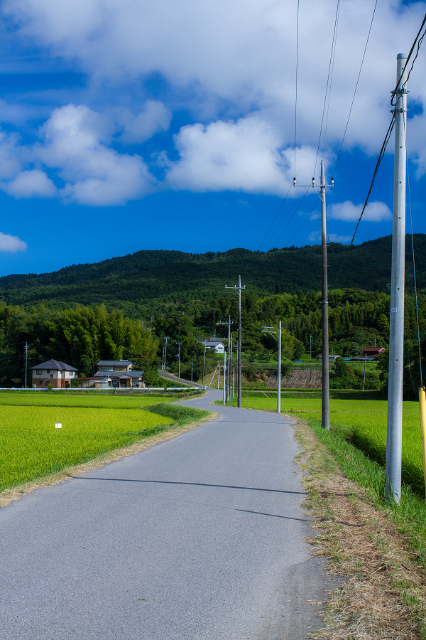 田舎