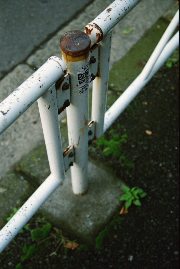 PORTRA800
