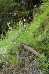 廃線