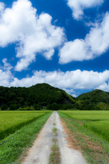 田舎