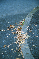 PORTRA800
