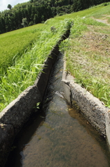 水路