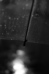rain