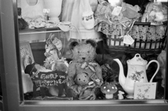 bear