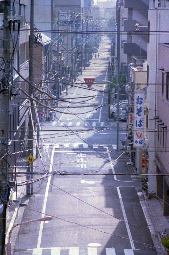 霞みの朝