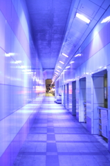 異