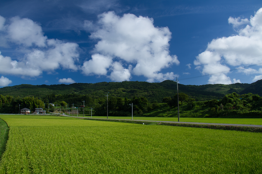 田舎