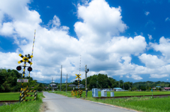 田舎