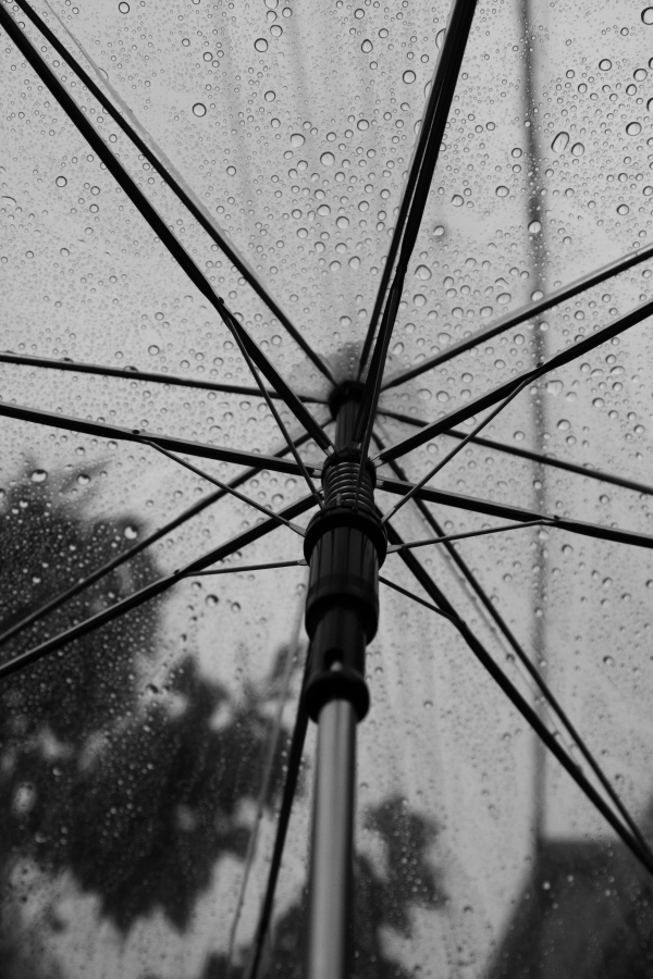 雨