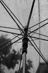 雨
