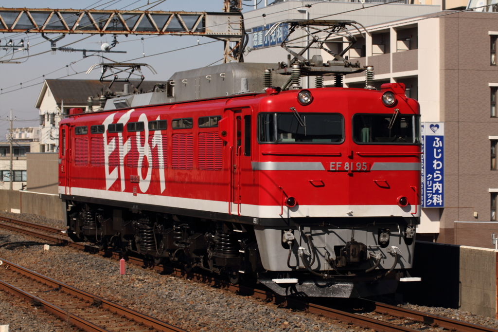 EF81-95