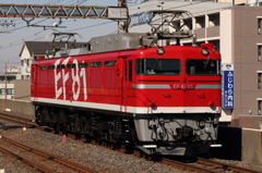 EF81-95