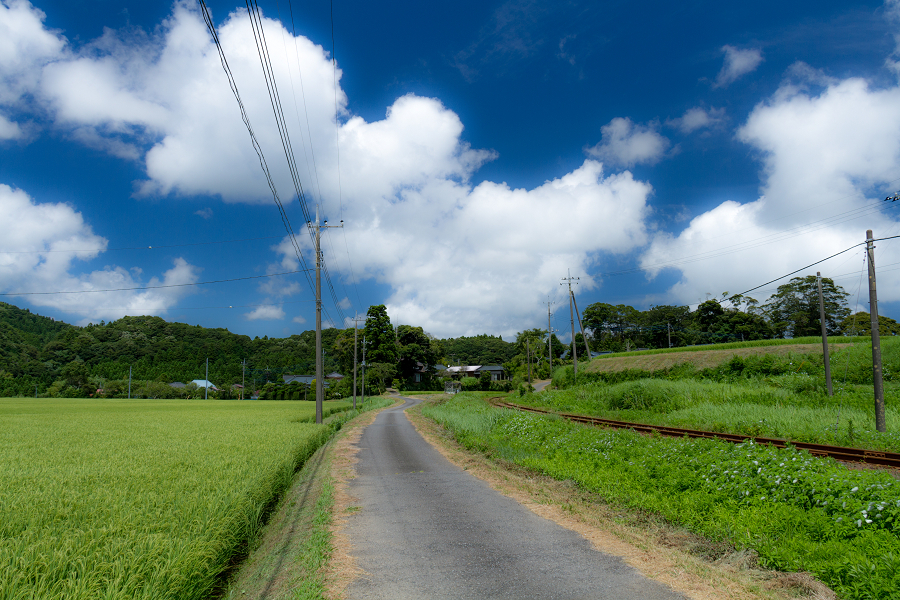 田舎
