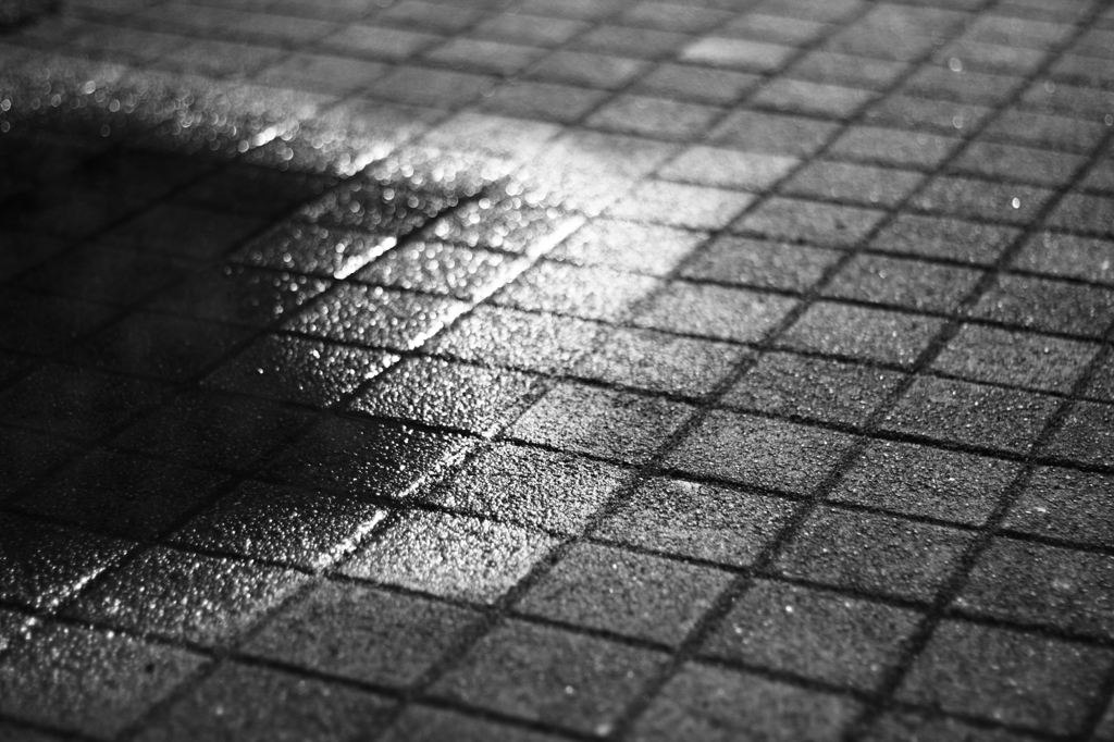 雨上がり