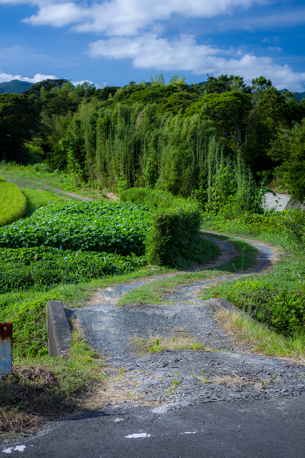 田舎