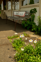田舎