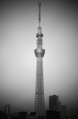 スカイツリー