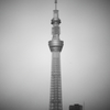 スカイツリー