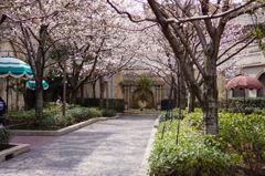 2013-03-20 049