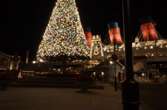 2012-11-22 160