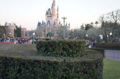 2013-02-10 009
