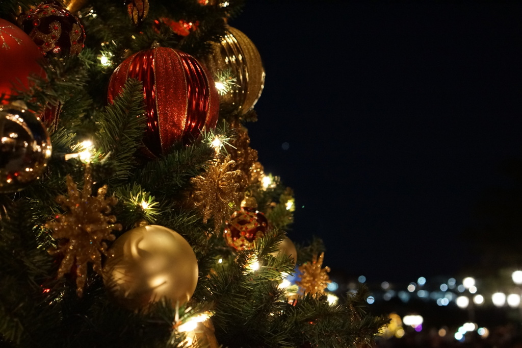 2012-12-08 064