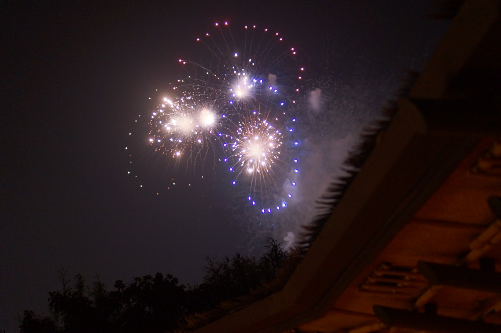 2013-02-02 097