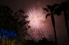 2013-03-31 028