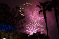 2013-03-31 027