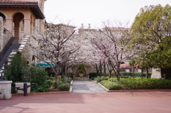 2013-03-20 048