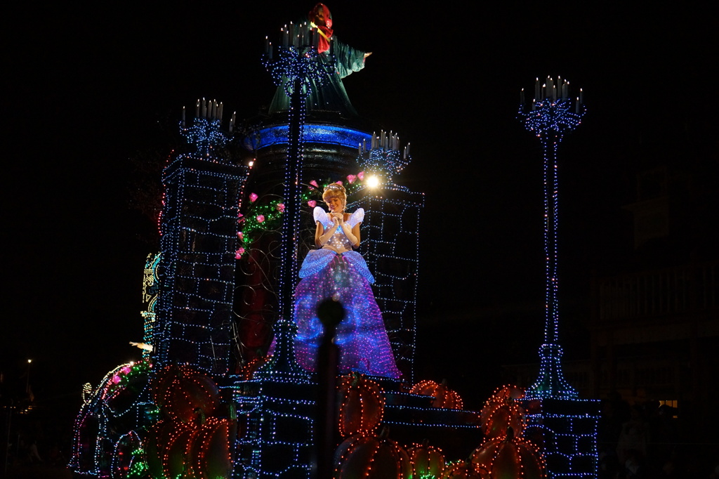 2013-03-08 068