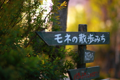 モネの散歩みち