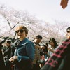 お花見