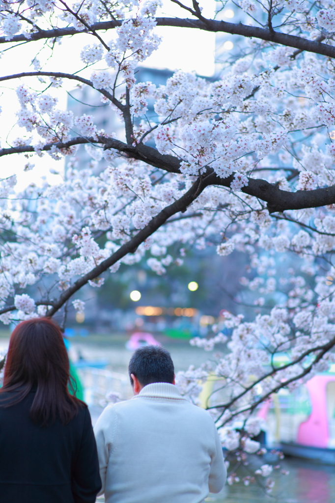 親子の夕暮れ
