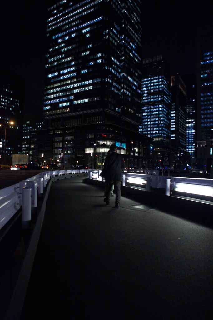 光る道を往く